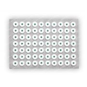 Аппликатор Кузнецова 230х320