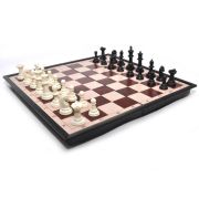 Игра 2в1 (шахматы, шашки) 27х27 магнит. 3135