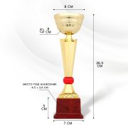 Кубок спортивный СЛ.174/С  26,5см