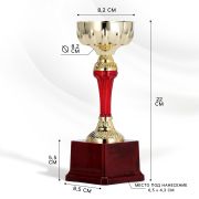 Кубок спортивный СЛ.133/B  22,0см
