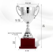 Статуэтка награда СЛ.045 2 место