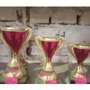 Кубок спортивный SET.267.68.C