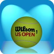 Мяч тен. Wilson US Open